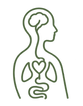 polyvagal theory