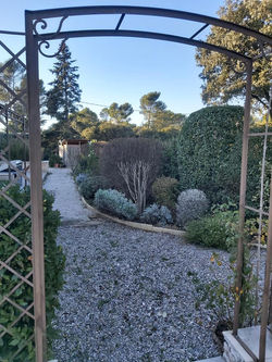 126854822_1669922196514402_4460770876769754567_n