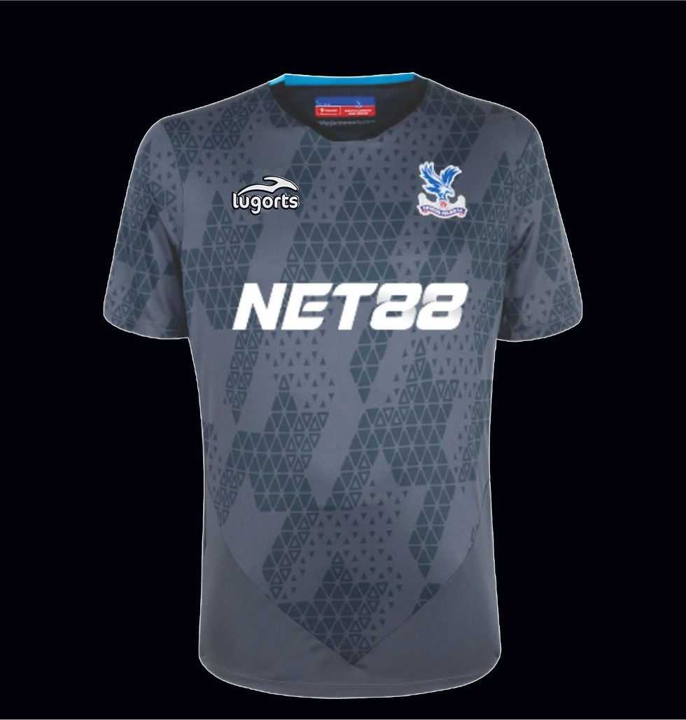 CD-99 CRISTAL PALACE VISITA