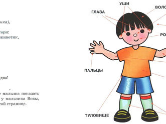 Лексическая тема     
 "Наше тело"