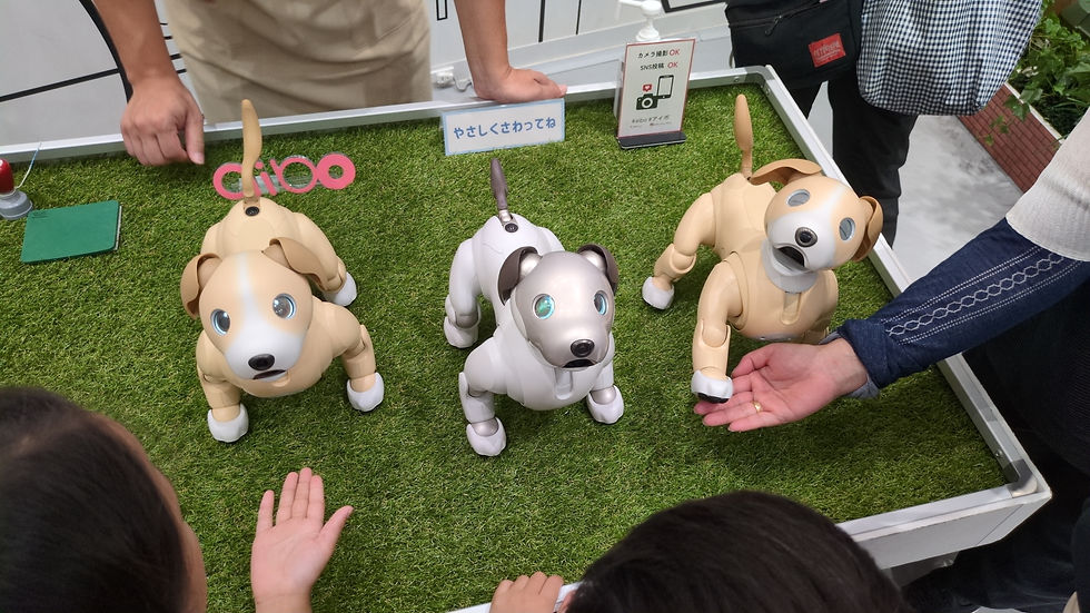 犬型のロボット(名前忘れましたww)めっちゃ可愛かった💛