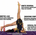 Biomechanical infographic Yogveda Yoga Switzerland: Clinical alignment, asymmetric load, and cervical spine protection in Eka Pada Sarvangasana.