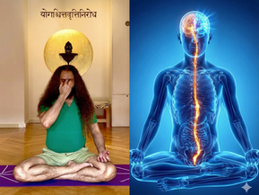 Split-screen image: Left side shows Master Shahid Khan in Siddhasana performing Surya Bhedana Pranayama. Right side shows an anatomical model with the Pingala Nadi glowing as an orange line, activating the left brain ("Spark").