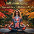 Woman in meditation overlaid with an anatomical view of the vagus nerve cooling systemic inflammation.
