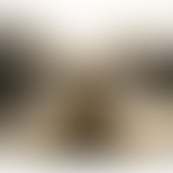 Master Shahid Khan beim Beobachten in der Sonne vor Schweizer Bergen für das Cover des Yogveda Journal Schweiz Vol. 13: Atem ist Leben. Pranayama, Kapalbhati, Anuloma Pratiloma, Yoga Sutra 1.12.