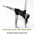 Master Shahid Khan explains the biomechanical reality of knee pain and dismantles the knee pain illusion in the newest volume of the Yogveda Journal Switzerland Vol 20.