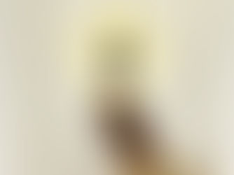 Video von Master Shahid Khan in Swastikasana bei der Ausführung von Bhastrika Pranayama mit Fokus auf die aktive Bauchdecke.