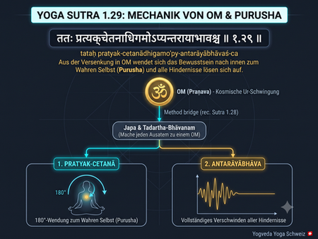 Wissenschaftliches Dark-Mode-Infografik-Diagramm zu Yoga Sutra 1.29 mit Devanagari-Sanskrit-Text, dem OM-Symbol, der 180-Grad-Bewusstseinswendung zum Purusha und der Darstellung flach verlaufender Schwingungswellen.