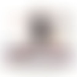 Master Shahid Khan in Krieger 2 mit biomechanischen Vektoren für das Cover des Yogveda Journal Schweiz Vol. 15: Die Biomechanik der Asanas. Anatomische Ausrichtung, 4-Wochen-Zyklus, Yoga Sutra 1.15.