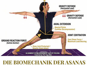 Master Shahid Khan in Krieger 2 mit biomechanischen Vektoren für das Cover des Yogveda Journal Schweiz Vol. 15: Die Biomechanik der Asanas. Anatomische Ausrichtung, 4-Wochen-Zyklus, Yoga Sutra 1.15.