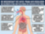 Eine wissenschaftliche anatomische Lehrtafel zum Thema Die Wissenschaft der Vayus: Verständnis und Regulation deines Prana Vayu, mit detaillierter Darstellung der Atmungsorgane, des Atemvakuums, der Deglutition (Schlucken) und des Nervensystems gemäß der Yogveda Biomechanik.
