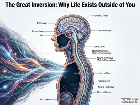 A high-end anatomical rendering showing the human nervous system functioning as an antenna to process external cosmic frequencies rather than internal ego projections.