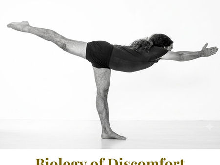 Yogveda Journal Switzerland Vol. 26: Biology of Discomfort