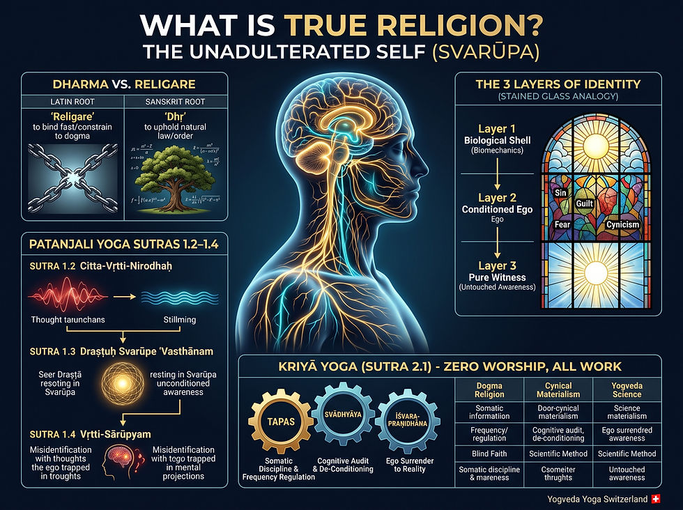 Anatomical illustration of consciousness (Svarūpa) featuring golden neural pathways, surrounded by comparisons of Dharma, Religare, and the three layers of identity.