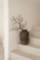 Skin studio perth pot with branch