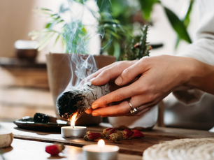 Erfahren Sie, wie wilde Kräuter Ihr Wohlbefinden stärken und Naturerlebnisse Ihre Gesundheit fördern – Experten-Interview im Blogbeitrag