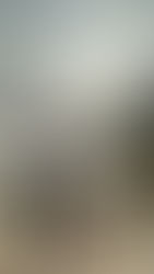 Strategies to Let Go of Regret