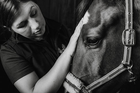 Vivienne Equine massage92.jpg
