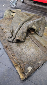 AtAC.Detailing - Fahrzeugaufbereitung seit 2010 | Aufbereitungstechnik Alles Christian | St.Wendel | Saarland | Sankt Wendel | Fahrzeugpflege | Detailing