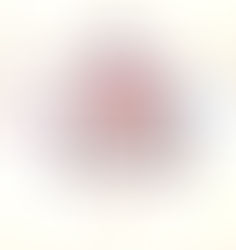 10 Mother's Day Gifts