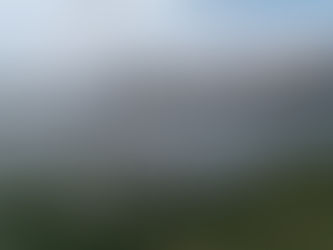 World Tip: Fantasy Island