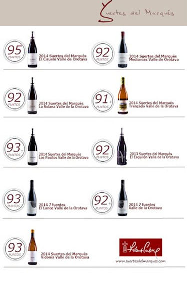 スエルテス2014パーカーポイント