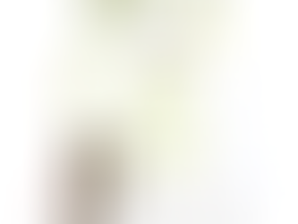 6月のお知らせ🐸