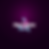 A dark background with a pepper and the words Neurospice Beauty in the center. The words look like they are a neon sign.