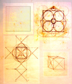 Fish Tetra Cube Drawings