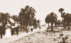 Early 1900s, Pine Avenue