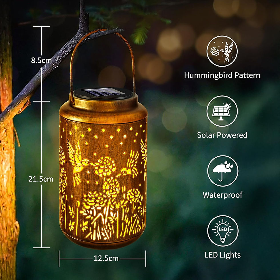 Miniature : Location 24/48 heures BrizLabs Cadeau Colibri Lanterne Solaire