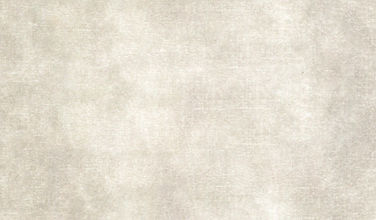 VP22 - Earth Tones Sand .jpg