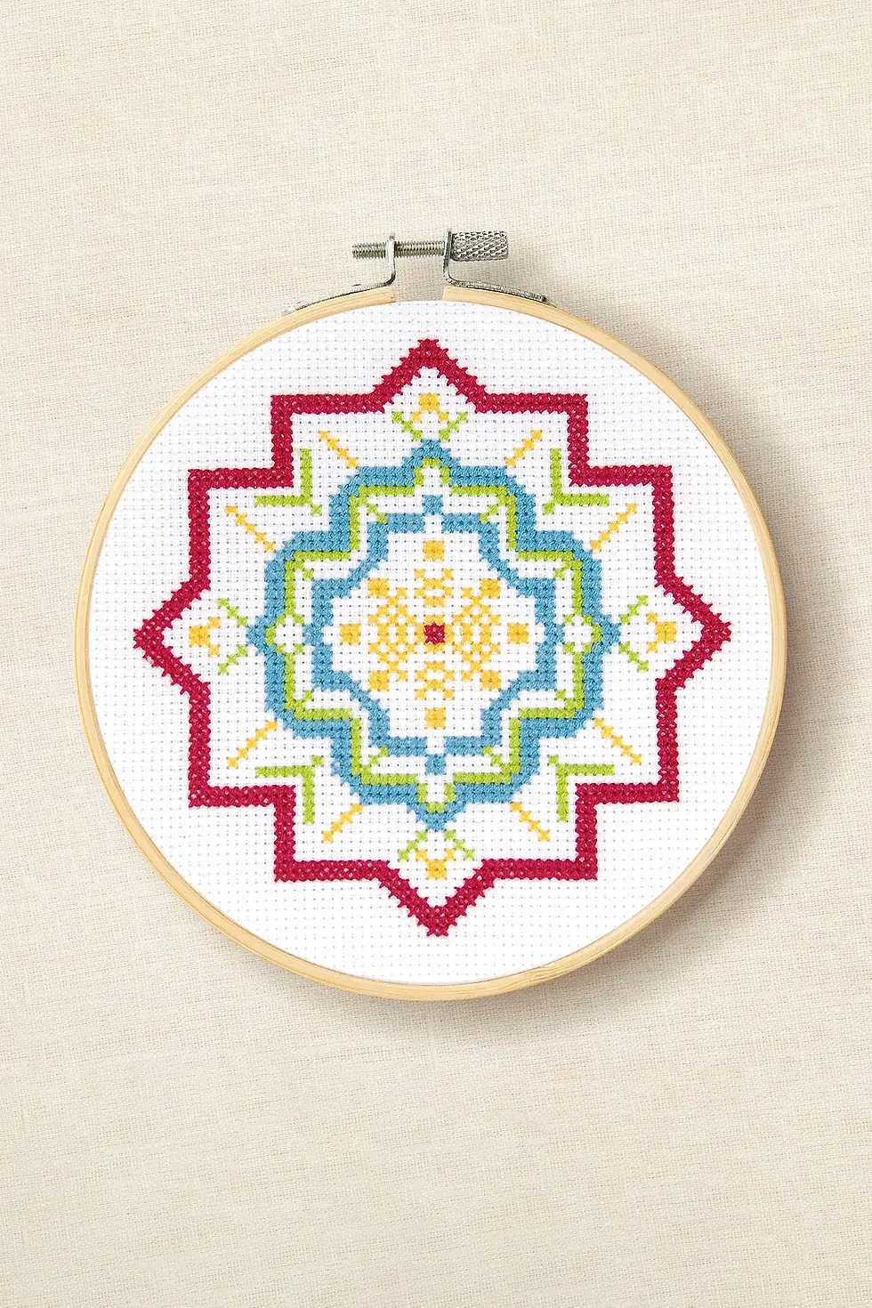 Cross Stitch Kit - DMC - Learning Cross Stitch Lit