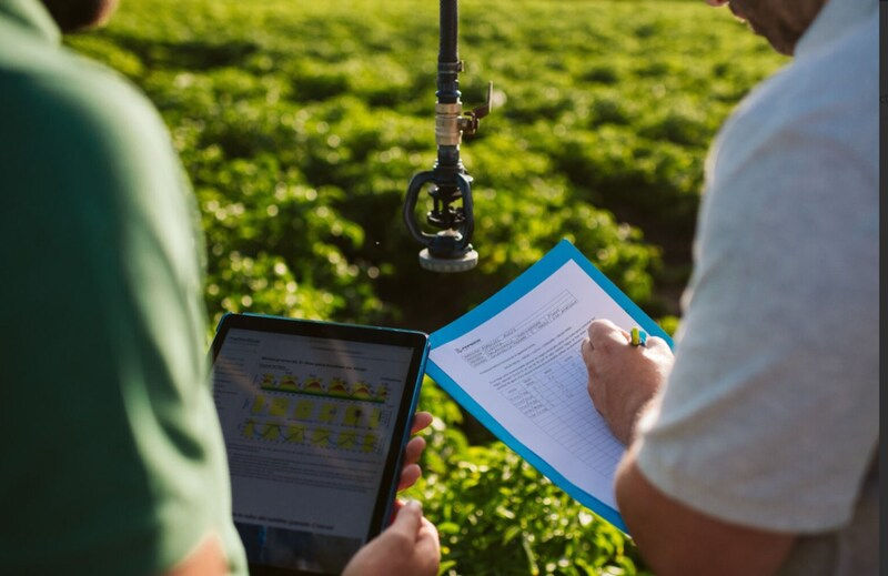 PepsiCo, Unilever and others launch 'STEP Up for Agriculture' regen-ag initiative
