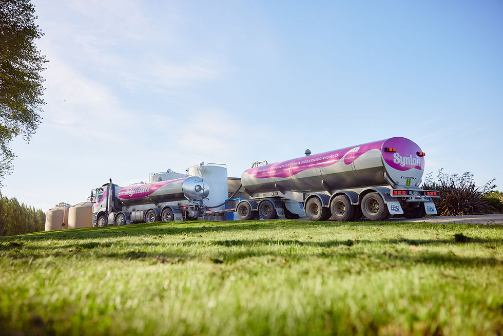 Synlait refocuses Pōkeno facility on advanced nutrition products following strategic review