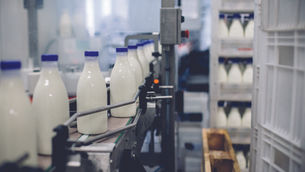 Farm to factory: These are the technologies transforming modern dairy manufacturing