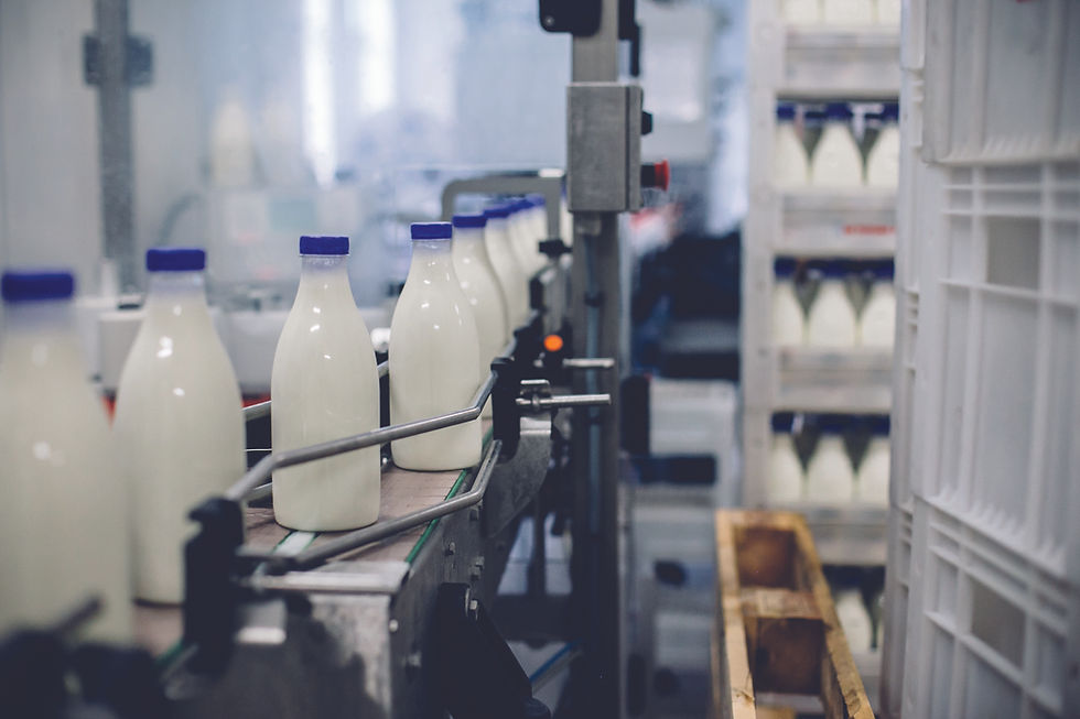 Farm to factory: These are the technologies transforming modern dairy manufacturing