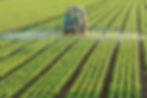 Regenagri launches carbon insetting programme for agri-food supply chain