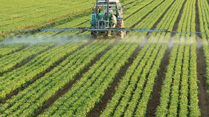 Regenagri launches carbon insetting programme for agri-food supply chain