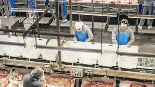 Danish Crown expands operations with new facility amid growing pork demand