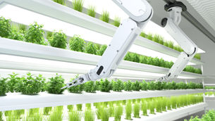 Global agri-food-tech investment shrinks as sector enters new growth phase