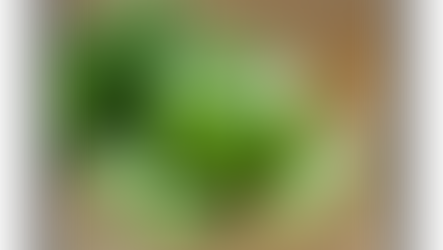 Synergy  releases flavour-paired concepts for greens ready-to-mix powders