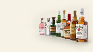 Suntory Global Spirits appoints Davin Nugent as president of global RTD category