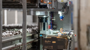 4AG Robotics secures CAD $40m to enhance autonomous mushroom harvesting
