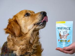 World’s first cultivated meat dog treat launches in UK retail