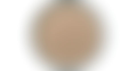 NovoNutrients raises $18m to scale carbon capture and protein production