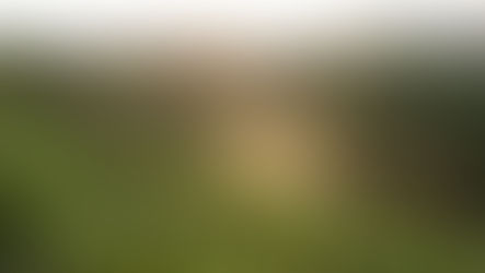 Opinion: The transformative power of IoT in agritech and smart farming