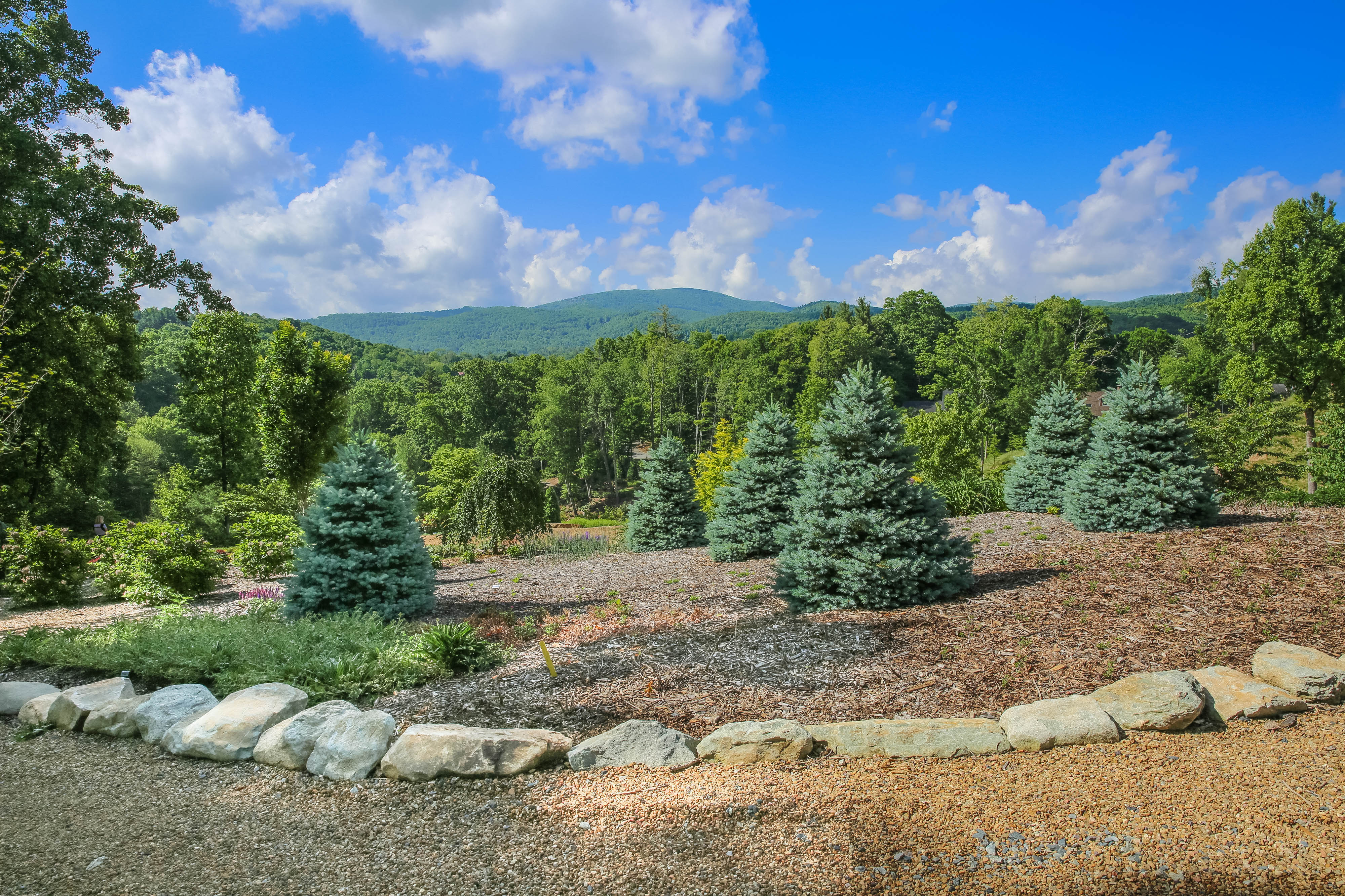 Arborcrest Gardens - Ornamental Plant Evaluation Center - Boone, NC