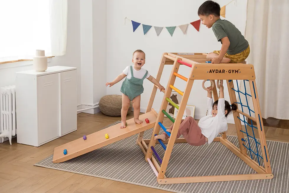 Rainbow Beechwood Activity Gym