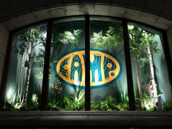 Camp Toy Store 5th Avenue